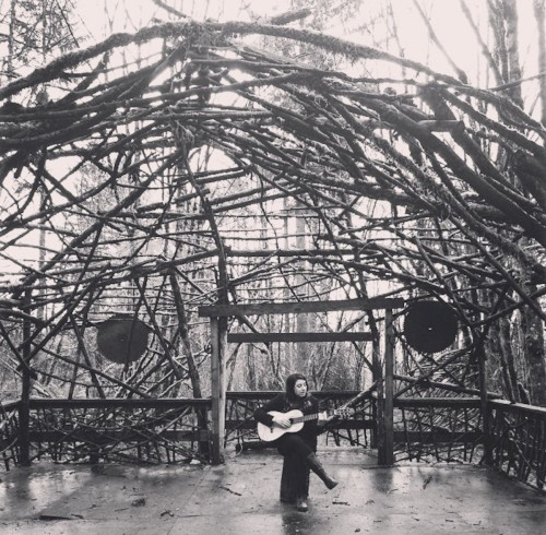 Pendarvis Farm Woods Stage封面