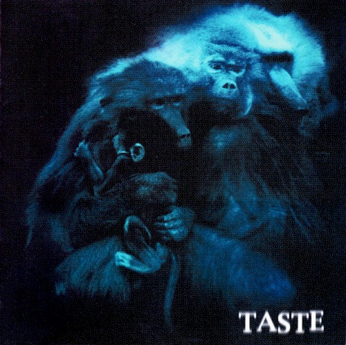 Taste封面