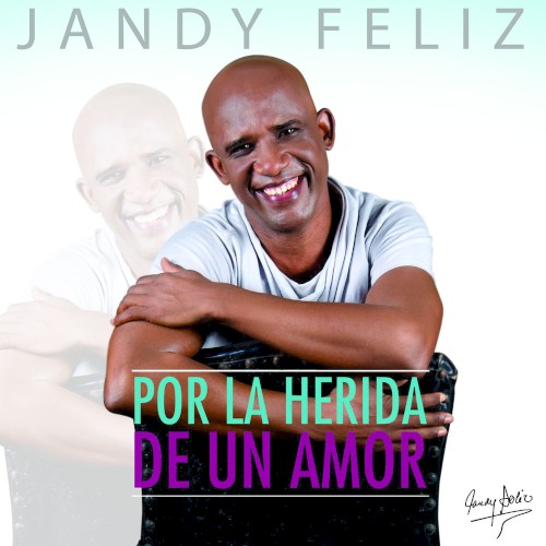 Por la herida de un amor封面