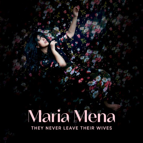 They Never Leave Their Wives封面