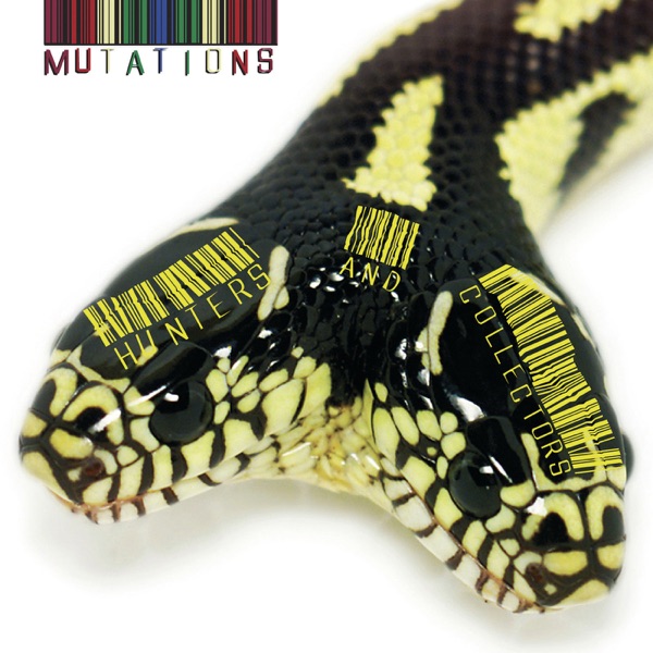 Mutations封面