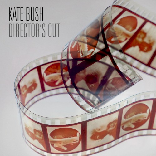 Director’s Cut封面