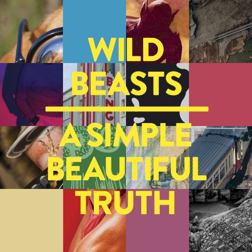 A Simple Beautiful Truth封面