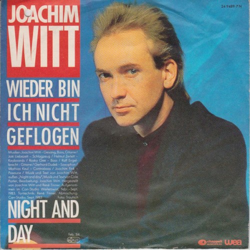 Wieder bin ich nicht geflogen封面