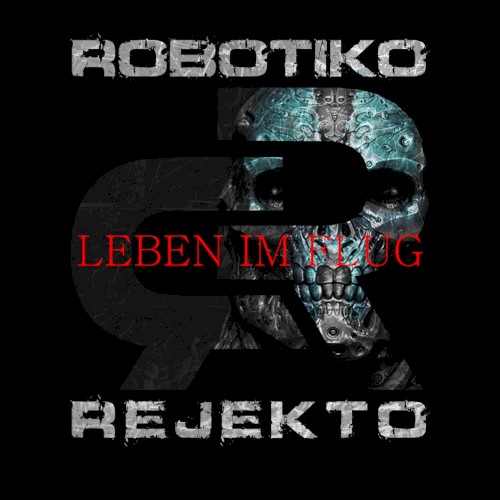 Leben im Flug封面
