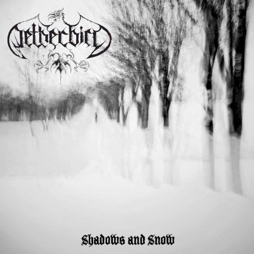 Shadows and Snow封面