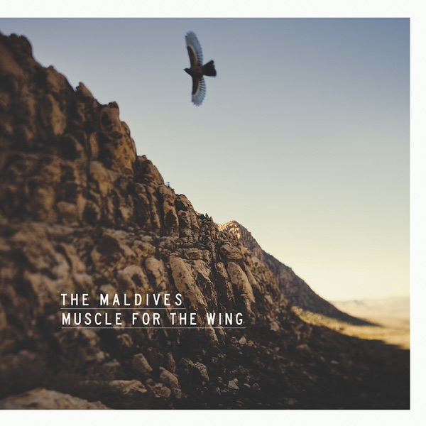 Muscle for the Wing封面
