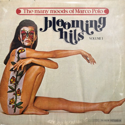 The Many Moods of Marco Polo Vol. 1封面