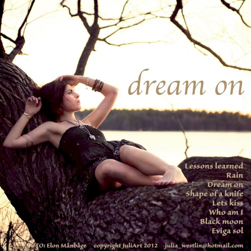 Dream On封面