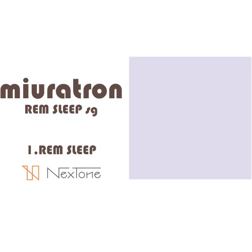 REM SLEEP sg封面