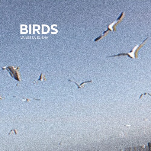 BIRDS封面