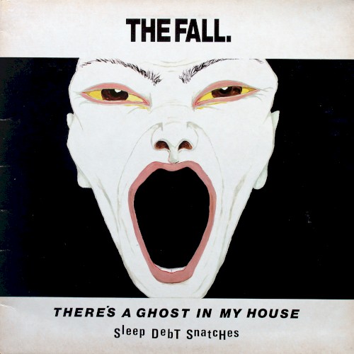 There’s a Ghost in My House封面