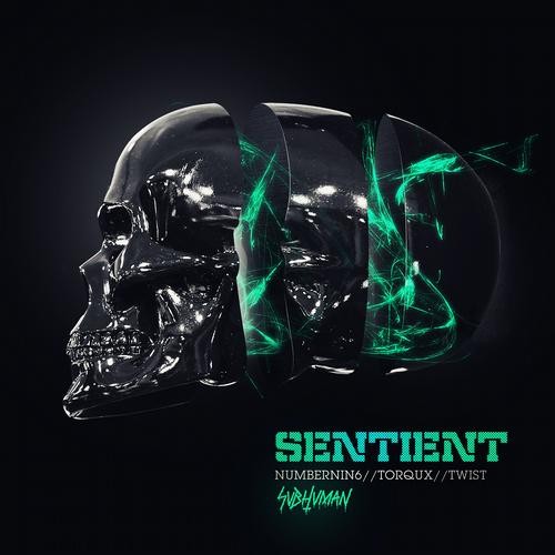 Sentient封面