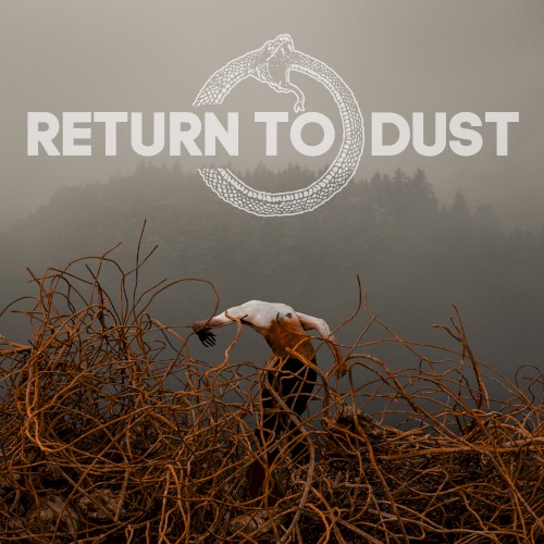 Return to Dust封面