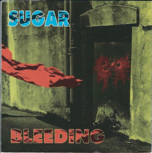 1992-07-22: Bleeding: Chicago, IL, USA封面