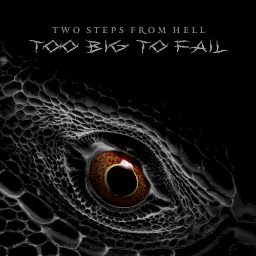 Too Big to Fail封面