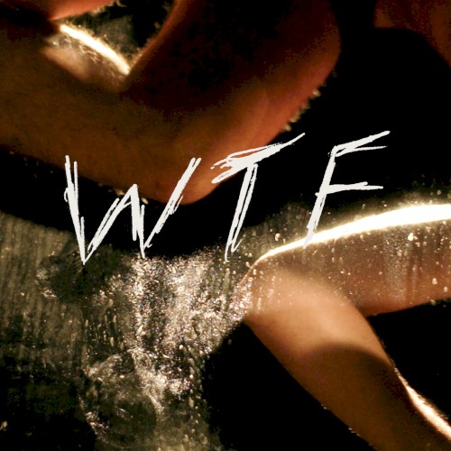 WTF封面