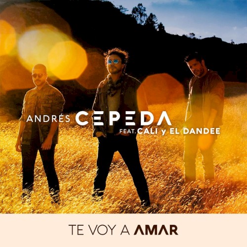 Te voy a amar封面