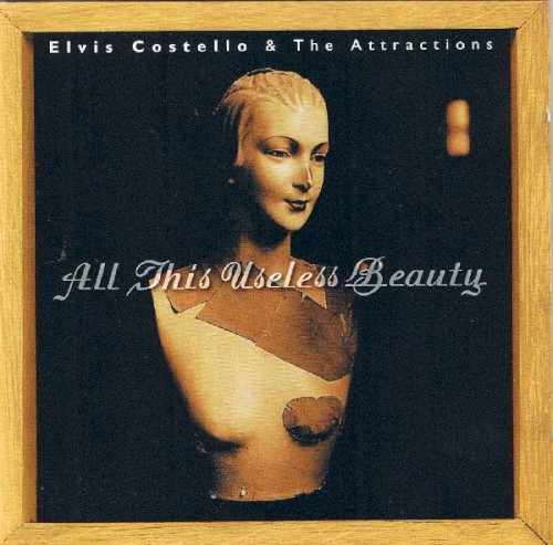 All This Useless Beauty封面