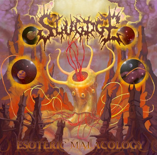 Esoteric Malacology封面