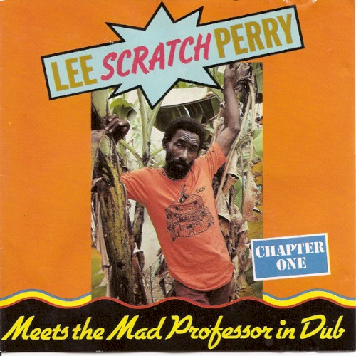 Lee Perry Meets The Mad Professor In Dub Chapter One封面