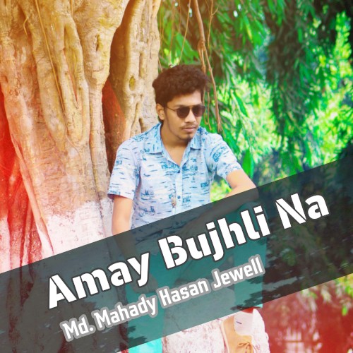 Amay Bujhli Na封面