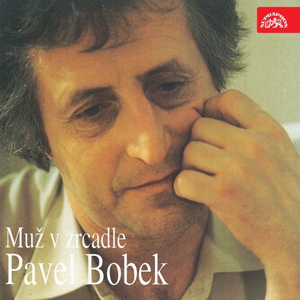 Muž v zrcadle封面