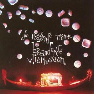 Brandende vlierbessen封面
