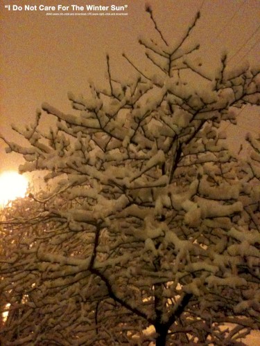 I Do Not Care for the Winter Sun封面