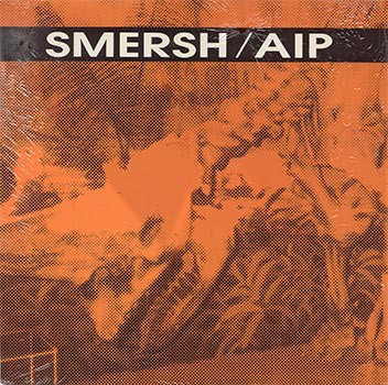 AIP封面