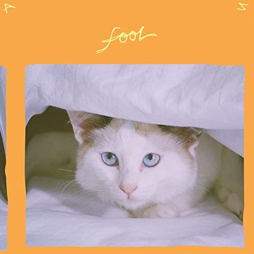 Fool封面