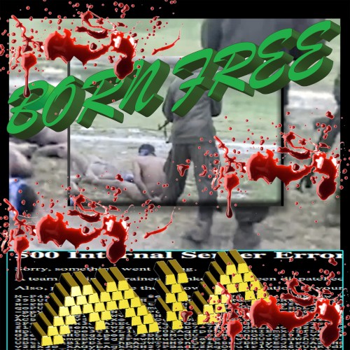 BORN FREE封面
