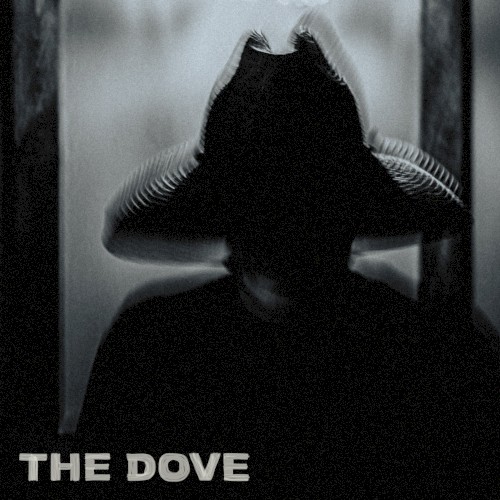 The Dove封面