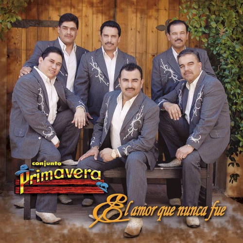 El amor que nunca fue封面