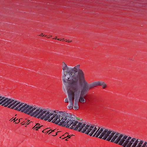 Inside the Cat's Eye封面