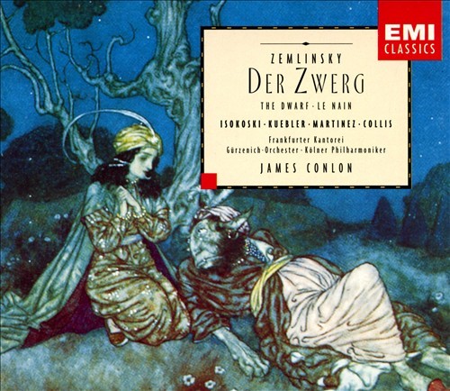 Der Zwerg封面