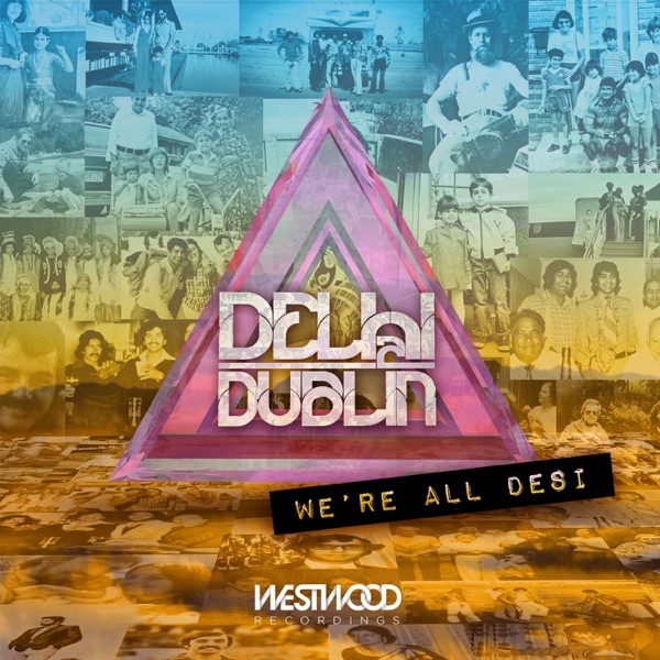 We're All Desi封面