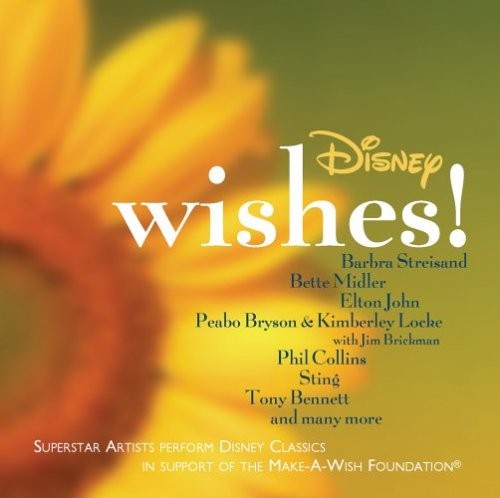 Disney Wishes!封面