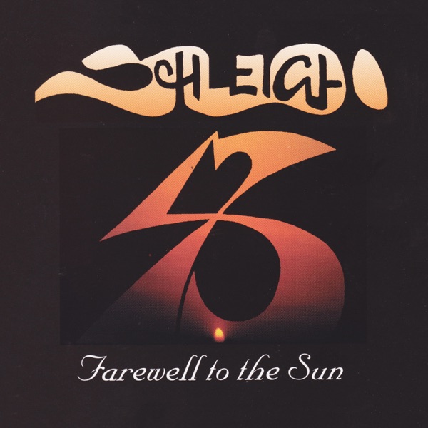 Farewell to the Sun封面