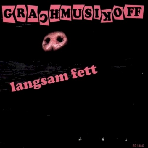 langsam fett封面