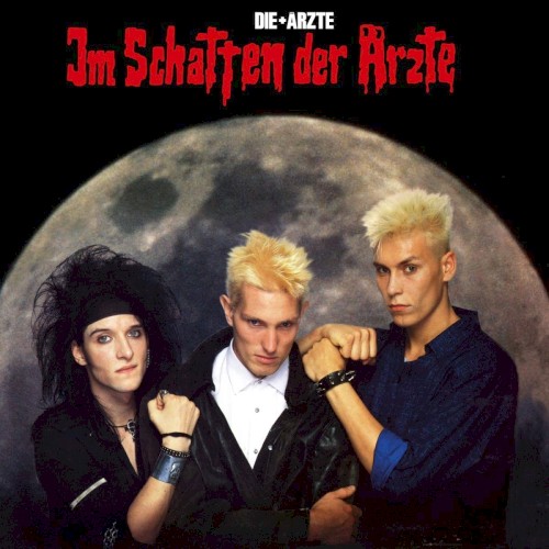 Im Schatten der Ärzte封面