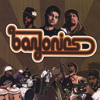 Bayonics封面