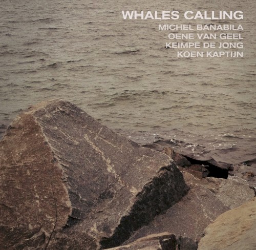Whales Calling封面