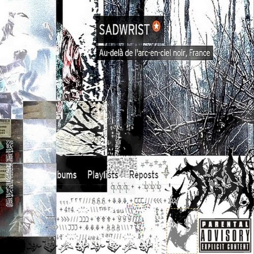 ... the worst of soundcloud vol. I/II封面