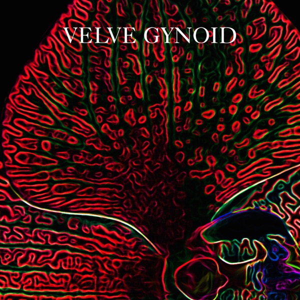 GYNOID封面
