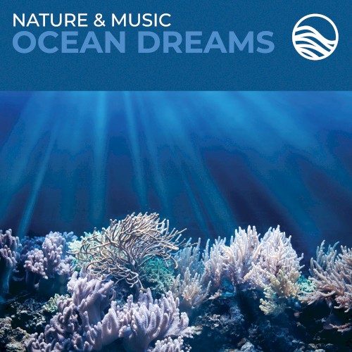 Ocean Dreams封面