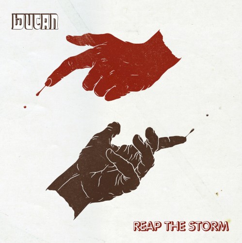 Reap the Storm封面