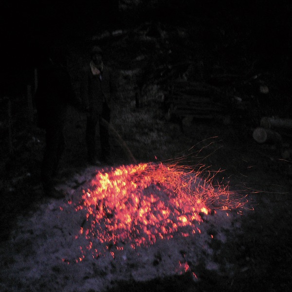 Welt am Draht (Animal Collective Remix) - Single封面