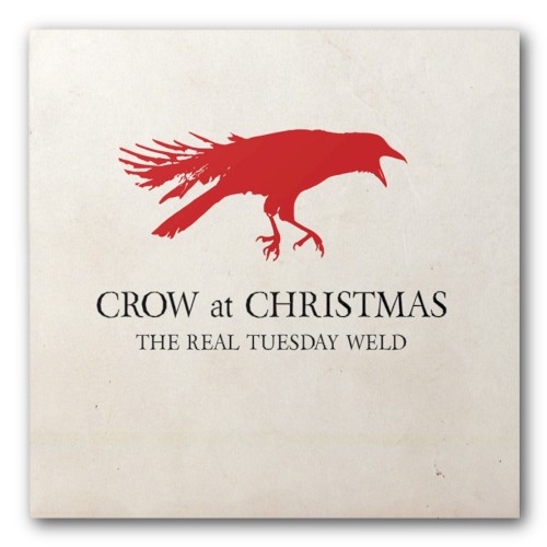 Crow at Christmas封面