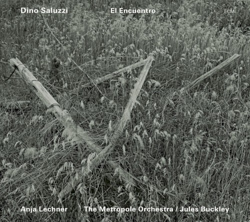 El encuentro封面